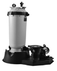 Pentair Clean-and Clear Pool filter system with a tall cylindrical cartridge filter connected to a pump on a shared mounting base.