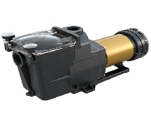Pool pump motor assembly with intake and discharge ports designed for water circulation.
